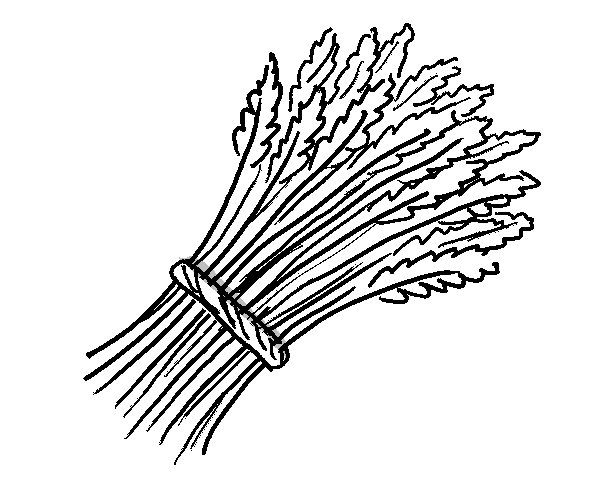 A sketch of a sheaf of wheat.